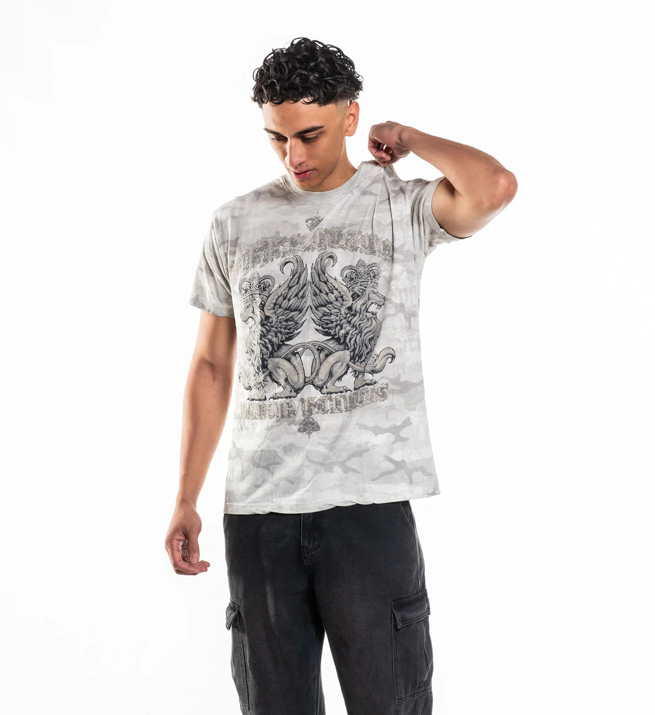 Guardian Lion - Image 3